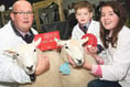 See our Royal Welsh Winter Fair gallery