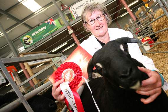 LIVE: updates from day three of the Royal Welsh Show