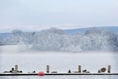 Llangors Lake creates wintry backdrop for photos