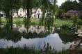 Lovely gardens to explore across Powys