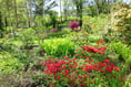 The glorious gardens of Ceredigion