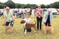 Horses, dogs and feathers friends to star at Tamar Valley show