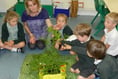 Children grew potatoes to eat for school dinner