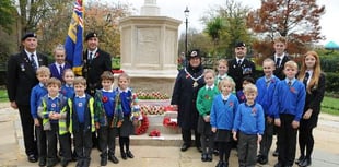 Schools honour the Armistice