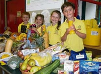 Infants produce the goods for harvest