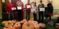 Prize pumpkins put proudly on parade