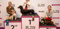 Tegan makes Crufts podium