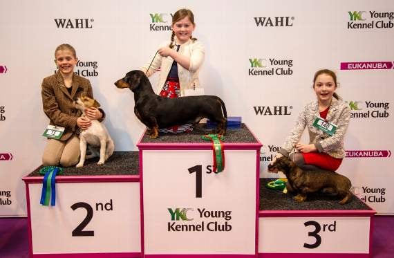 Tegan makes Crufts podium