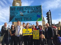 Family protest at anti-Brexit rally