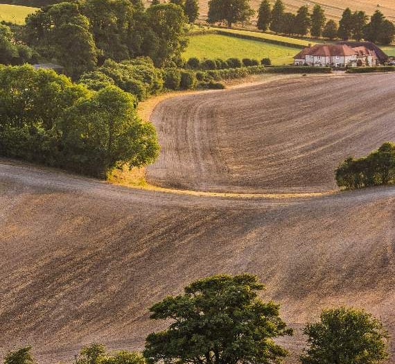 Who will win public vote in South Downs National Park’s photo competition?