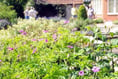 Record turnout as gardens blossom