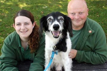 Recognition for joint animal welfare team