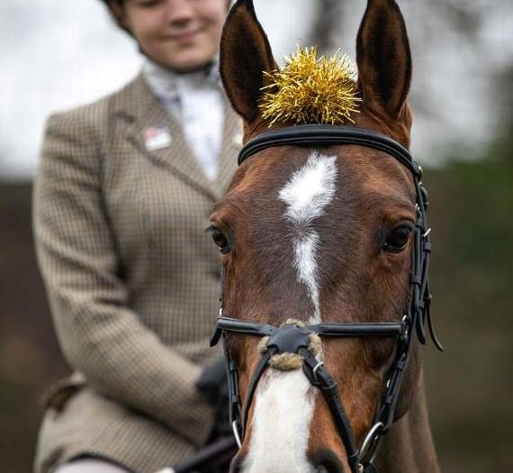 Big turnout for annual Boxing Day hunt