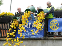 Save the date: Farnham Charity Duck Race to return this spring