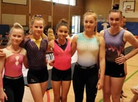 Gymnasts put on a Stellar show