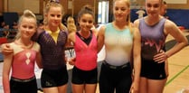 Gymnasts put on a Stellar show