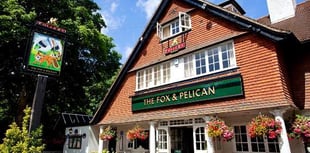 Review: Acoustic Night, The Fox & Pelican, Grayshott