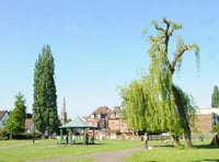 Farnham playground set for overhaul