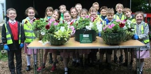 Green-fingered pupils dig for gold