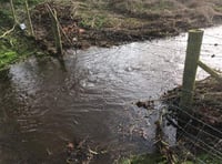 Storm Dennis increases flooding risk in River Wey valley