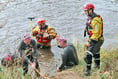 Swimmers take plunge for SARA