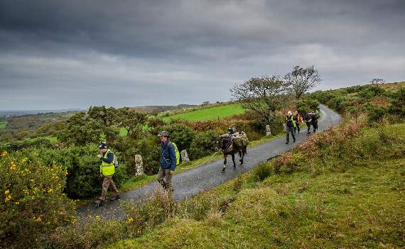 Ponies meet 100-mile challenge