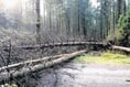 Storm hits Monmouthshire