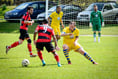 Kingfishers edge closer to survival with narrow win