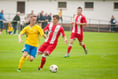 Debutant Dafydd stars in 6-1 home win