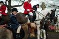 All creatures great and small gather on New Year’s Day