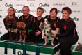 Top dog strikes silver at Crufts