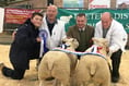 Darke family take supreme championship in the sheep classes at Exeter Primestock show