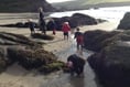 Beach school stays open despite path repairs - and Holbeton youngsters will even get to warm up in historic building