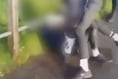 Mother of 14-year-old beaten up by bullies releases video of the incident