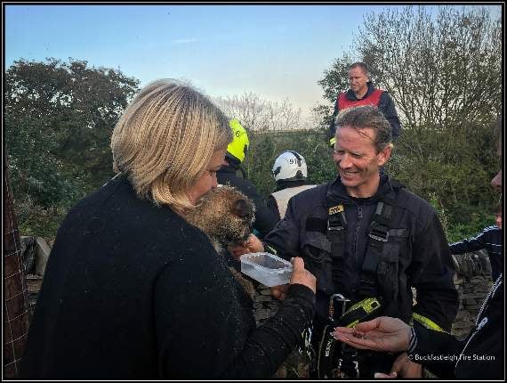 Ted the border terrier returned to owners by firefighter rescue team