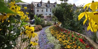 Kingsbridge In Bloom will represent the South West in national finals