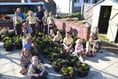 Floral displays decorating the town