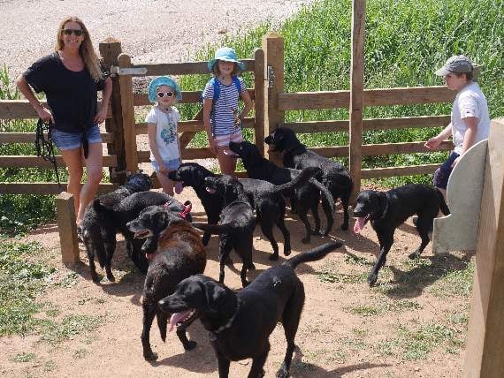 A family of 14 dogs raises hundreds of pounds for charity