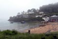 District executive agrees dog ban for three South Hams beaches