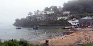 District executive agrees dog ban for three South Hams beaches