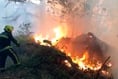 Disposable BBQ blamed for three-day coastal gorse blaze