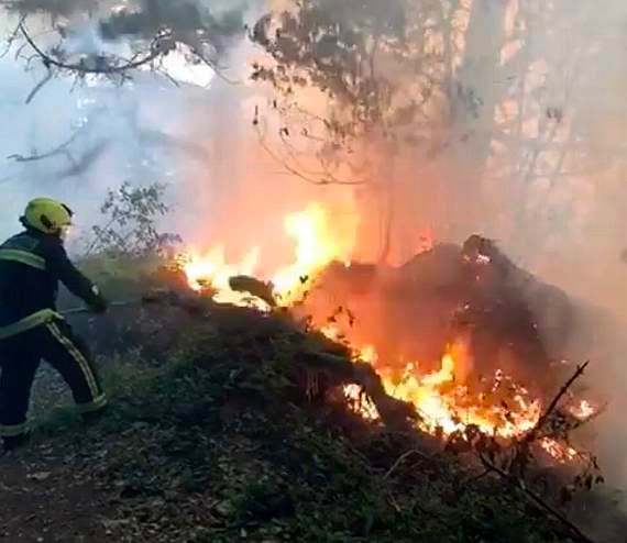 Disposable BBQ blamed for three-day coastal gorse blaze