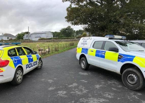 Second World War bomb found in field near Dartmouth