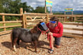 Staying safe - even the animals are wearing PPE at Pennywell