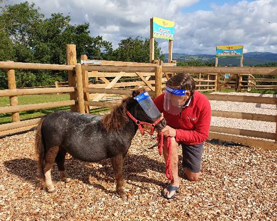 Staying safe - even the animals are wearing PPE at Pennywell