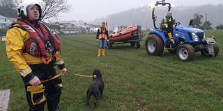 Dog and owner reunited after slippery fall down sheer rock face