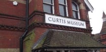 Volunteer at Curtis Museum and Allen Gallery