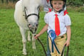 Living it up at the Latchley Show