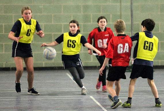 West Devon schools court attention in West Devon Primary Schools Netball Finals