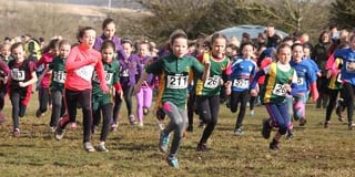 Cool cross country for Tavistock area runners